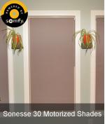 Custom Phifer Sheerweave 3000 14% Open Somfy Sonesse 30 24VDC RTS Motorized Roller Shades